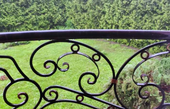 Wrought Iron Floral Grill